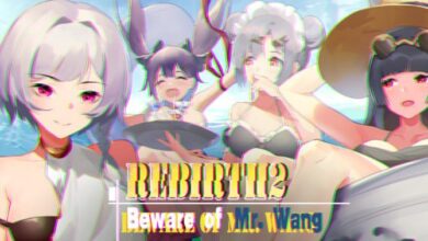 RebirthBeware of MrWang Free Download