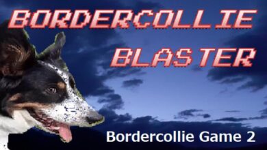 BorderCollie Blaster Free Download alphagames4u