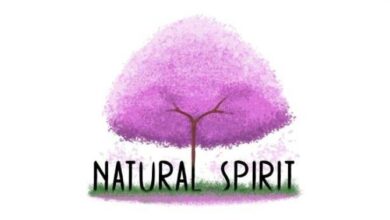 Natural Spirit Free Download alphagames4u