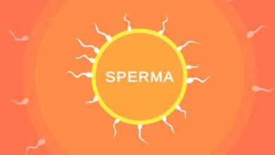 Sperma Free Download