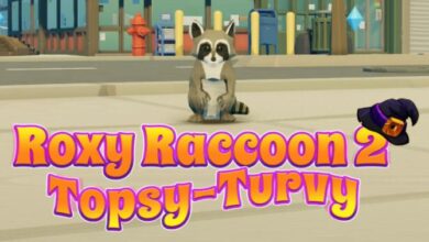 Roxy Raccoon 2 TopsyTurvy Free Download