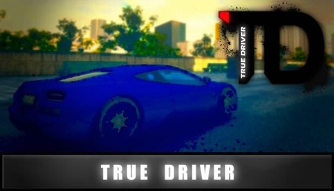 True Driver Free Download