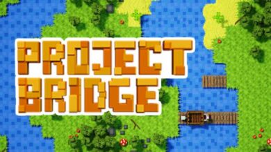 Project Bridge Free Download